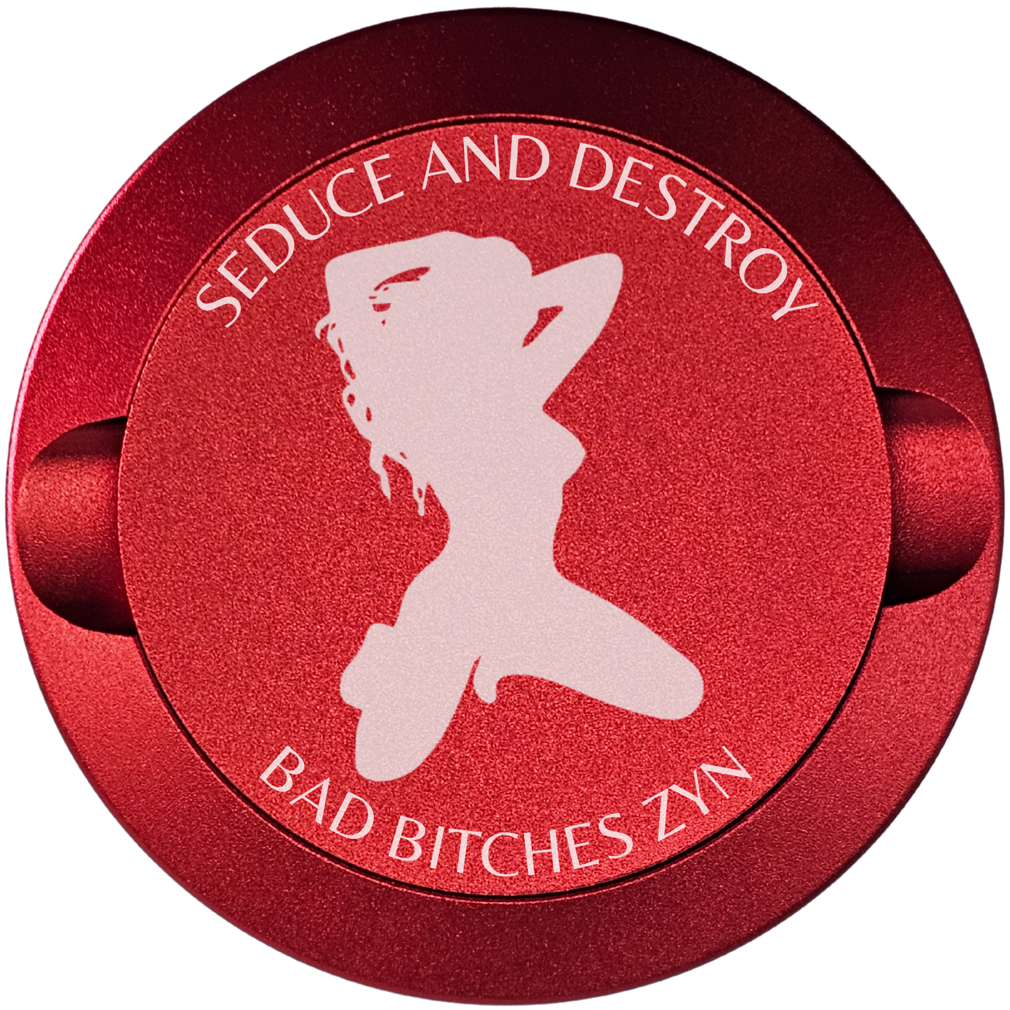 Seduce and Destroy Bad Bitches Zyn-My Tyn Co. Custom Aluminum ZYN Tyns for ZYN Pouches Waterproof and Airtight, 2 Compartments!